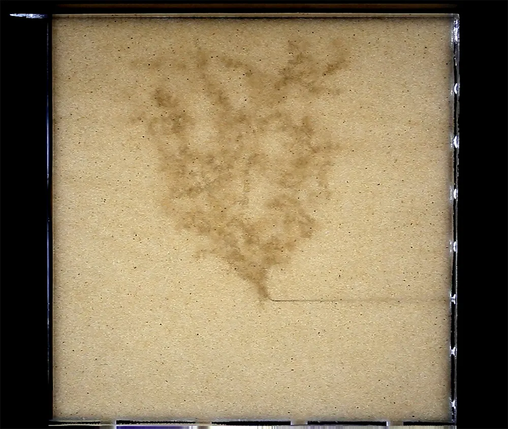 Raw image from the experiment reveals gas percolating through the sand column. Image: <em>Cole Van De Ven</em> sand column (lab)