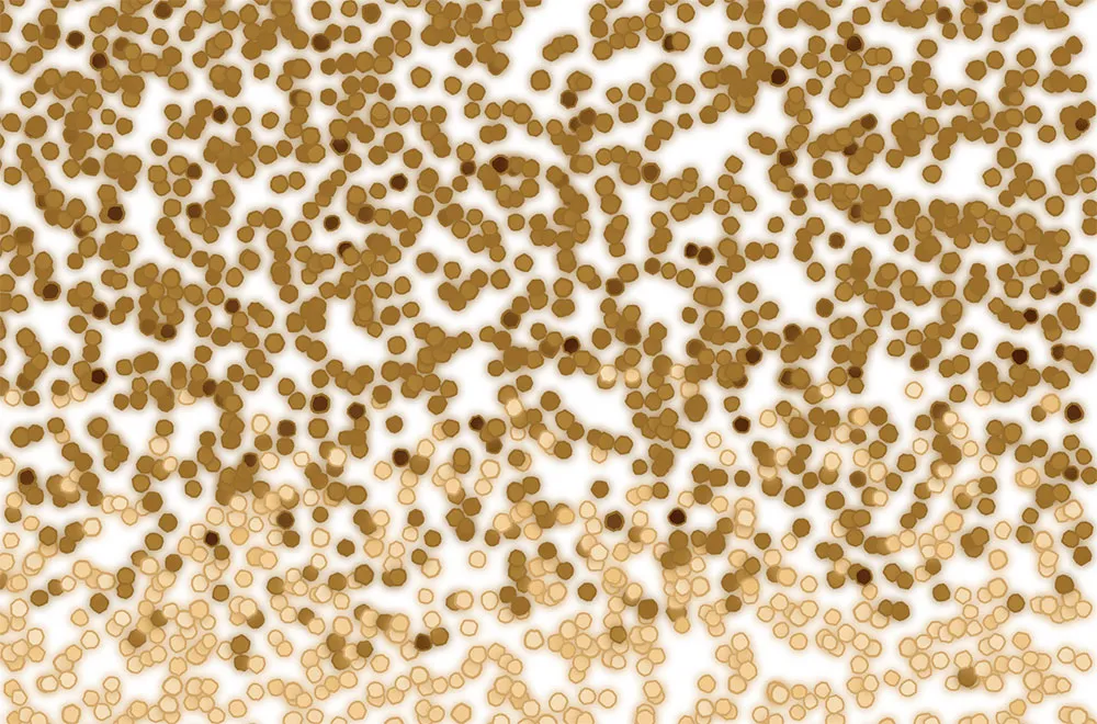 This is one of the original images as coded during the residency. It shows the negative space between the sand, and is the inspiration for what would eventually drive the invasion percolation algorithm. virtual grains
