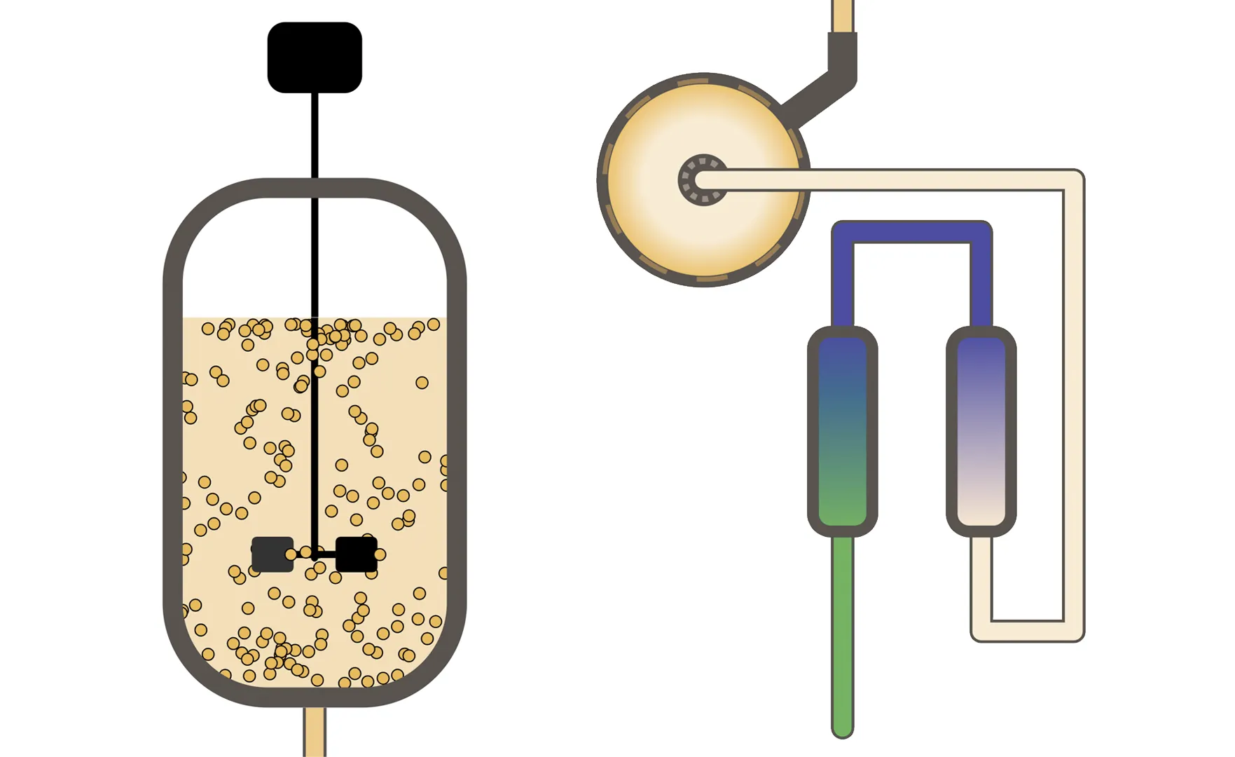 This vat and centrifuge describe the industrial process Hyasynth Bio uses to make their products. This vat and centrifuge describe the industrial process Hyasynth Bio uses to make their products