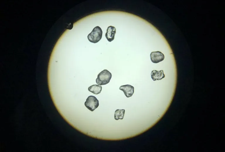 Sand grains from the experiments, as seen through the lab's microscope. microscopic image of sand