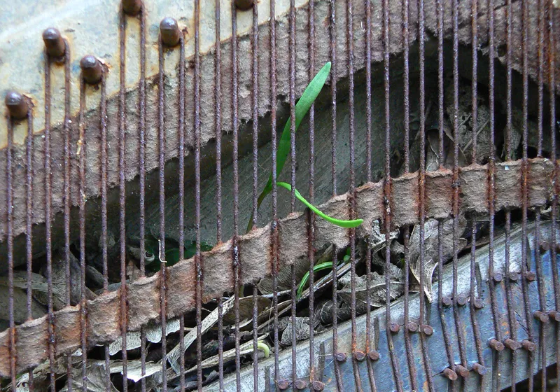 The Decomposing Piano