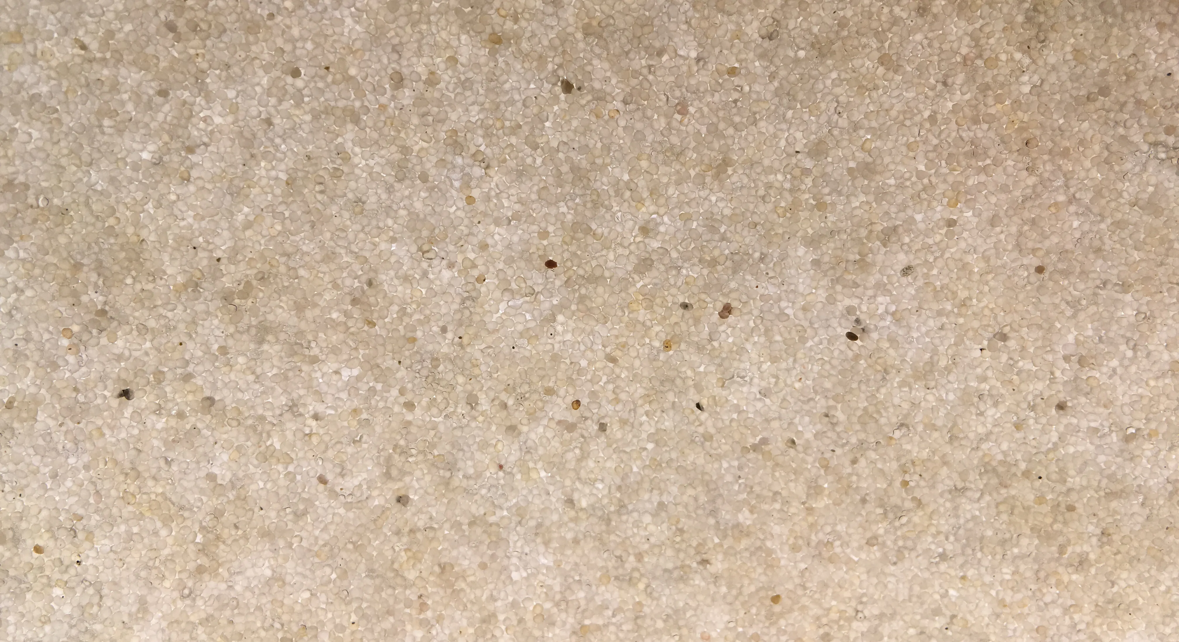 Close up of sand grains backlit and flattened between two plates of glass. Sand between two plates of glass