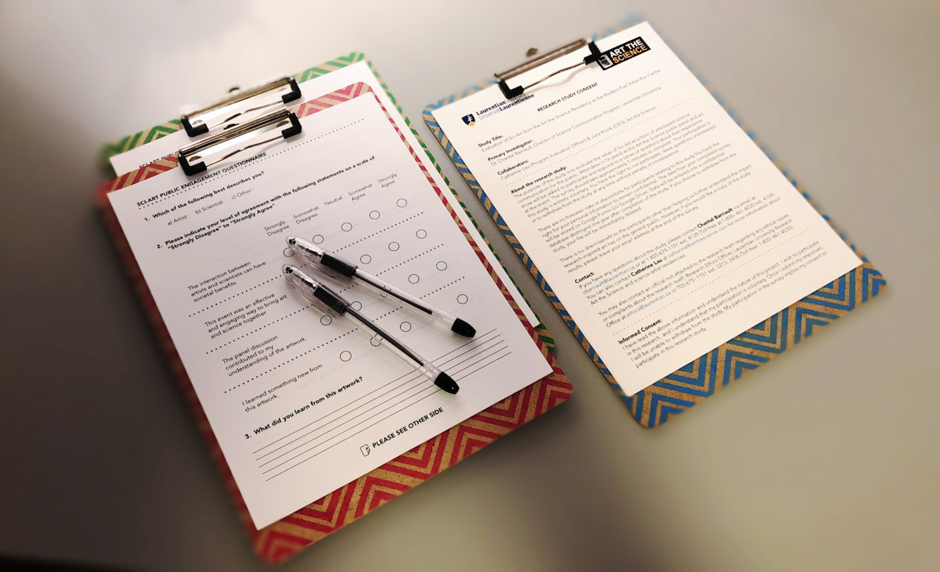 Art the Science Survey