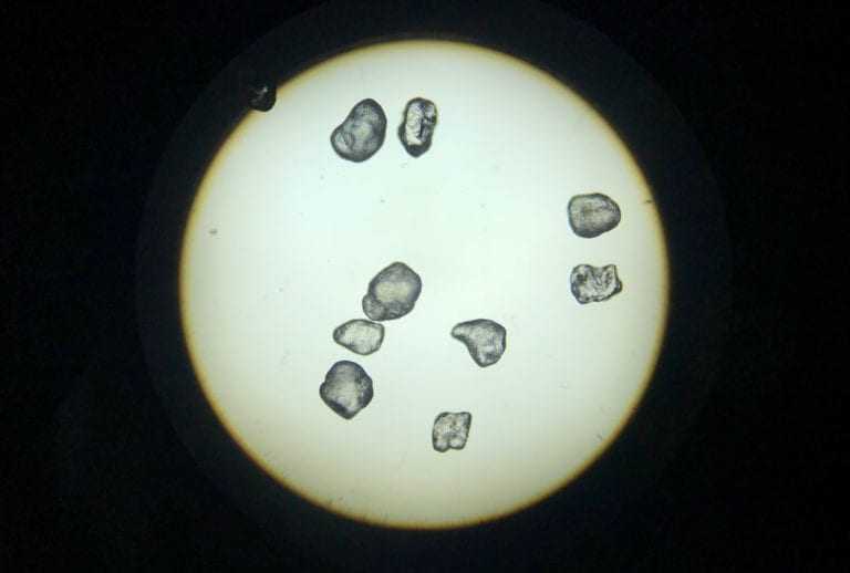 microscopic image of sand